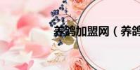 養鴿加盟網(養鴿加盟)