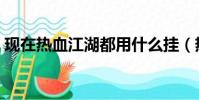 現在熱血江湖都用什么掛(熱血江湖英雄掛)