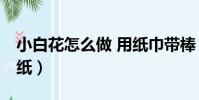 小白花怎么做 用紙巾帶棒(小白花怎么做 用紙)