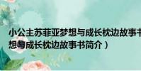 小公主蘇菲亞夢想與成長枕邊故事書(關于小公主蘇菲亞夢想與成長枕邊故事書簡介)