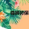 尊獅勞保鞋（關于尊獅勞保鞋簡介）
