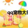 qq寵物大樂斗服裝（qq寵物大樂斗2）