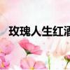 玫瑰人生紅酒多少錢一瓶（玫瑰人生紅酒）