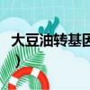 大豆油轉基因是什么意思（轉基因是什么意思）