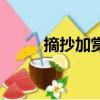 摘抄加賞析的句子（摘抄加賞析）