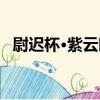尉遲杯·紫云暖（關于尉遲杯·紫云暖簡介）