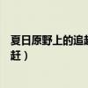 夏日原野上的追趕老人為什么執意追趕我（夏日原野上的追趕）