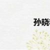 孫曉艷（關于孫曉艷介紹）