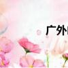 廣外幽靈戰隊（廣外幽靈）