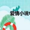 愛情小說txt 1080P（愛情小說txt）