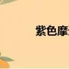 紫色摩天輪圖片（紫色摩天輪）