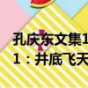 孔慶東文集11：井底飛天（關于孔慶東文集11：井底飛天介紹）