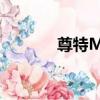 尊特M8（關于尊特M8簡介）