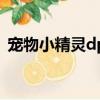 寵物小精靈dp粵語版（寵物小精靈dp目錄）