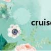 cruisemain本田是什么意思