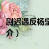 尉遲遇反楊堅之役（關于尉遲遇反楊堅之役簡介）