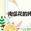 南瓜花的純情 電視劇（南瓜花的純情）