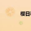 櫻日和mp3下載（櫻日和）