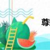 尊嫡（關于尊嫡簡介）