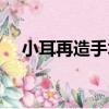 小耳再造手術費用大概多少（小耳再造）