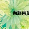海豚灣是什么軟件（海豚灣軟件）