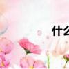 什么是玉緣（玉緣寶鑒）