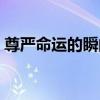 尊嚴命運的瞬間（關于尊嚴命運的瞬間簡介）