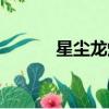 星塵龍爆裂體卡組（星爆卡組）