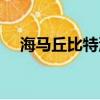 海馬丘比特油耗高嗎（海馬丘比特油耗）