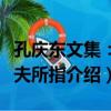 孔慶東文集：千夫所指（關于孔慶東文集：千夫所指介紹）