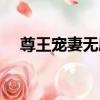 尊王寵妻無度（關于尊王寵妻無度簡介）