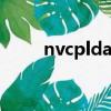 nvcpldaemon（nvcpldaemon）