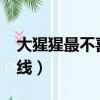 大猩猩最不喜歡什么線?（猩猩最不喜歡什么線）