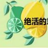 絕活的意思10字（絕活的意思）
