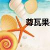 尊瓦果央（關于尊瓦果央簡介）