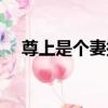 尊上是個妻控（關于尊上是個妻控簡介）