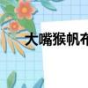 大嘴猴帆布鞋舒服嗎（大嘴猴帆布鞋）