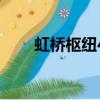 虹橋樞紐4路路線圖（虹橋樞紐4路）