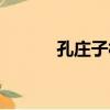 孔莊子村（關于孔莊子村介紹）