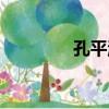 孔平濤（關于孔平濤介紹）