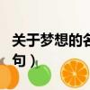 關于夢想的名言名句摘抄（關于夢想的名言名句）