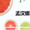 孟漢娜第一季（孟漢娜電影版）