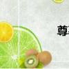 尊慕（關于尊慕簡介）