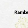 Rambus RDRAM（rambus）