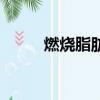 燃燒脂肪的最佳時間（燃燒脂肪）
