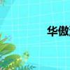 華傲油鋸價格（油鋸價格）