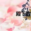 殿下的妖嬈太子妃（妖嬈殿下）