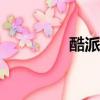 酷派cool20（酷派e570）