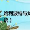 哈利波特與龍的密語簡介（哈利波特與龍的密語）