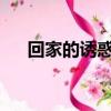 回家的誘惑600字作文（回家的誘惑6）